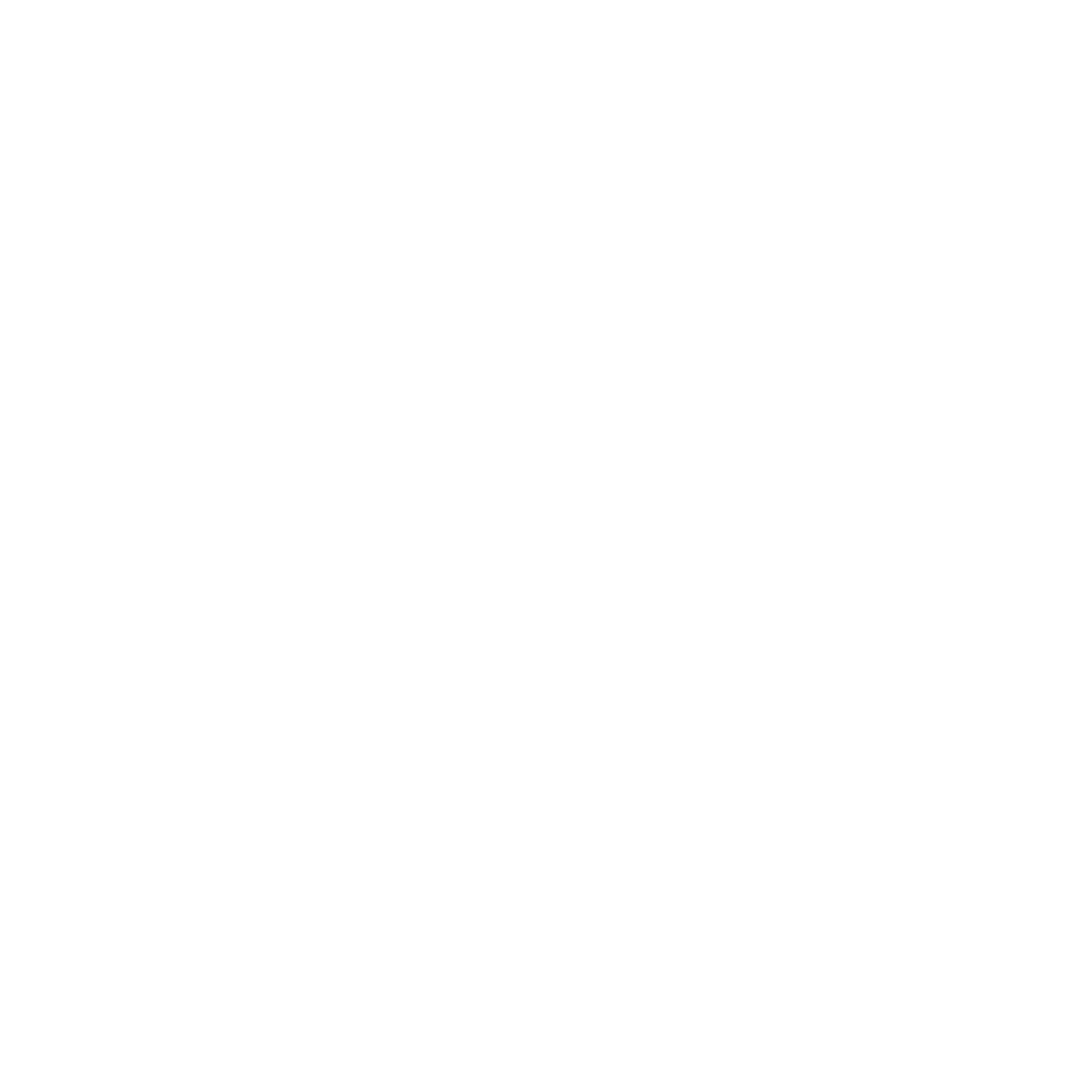 CMU Seal